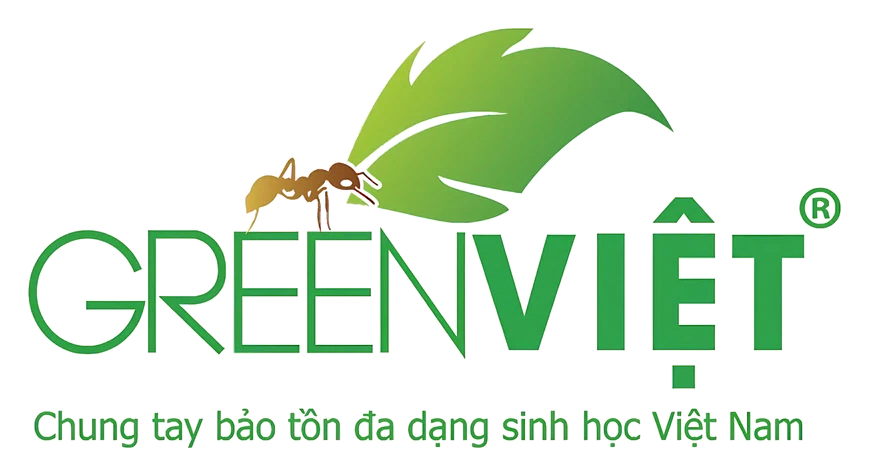 GreenViet